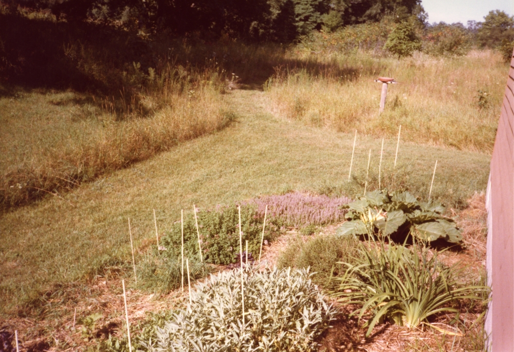 View of the artist&#39;s garden, Allegan, Michigan, 1980