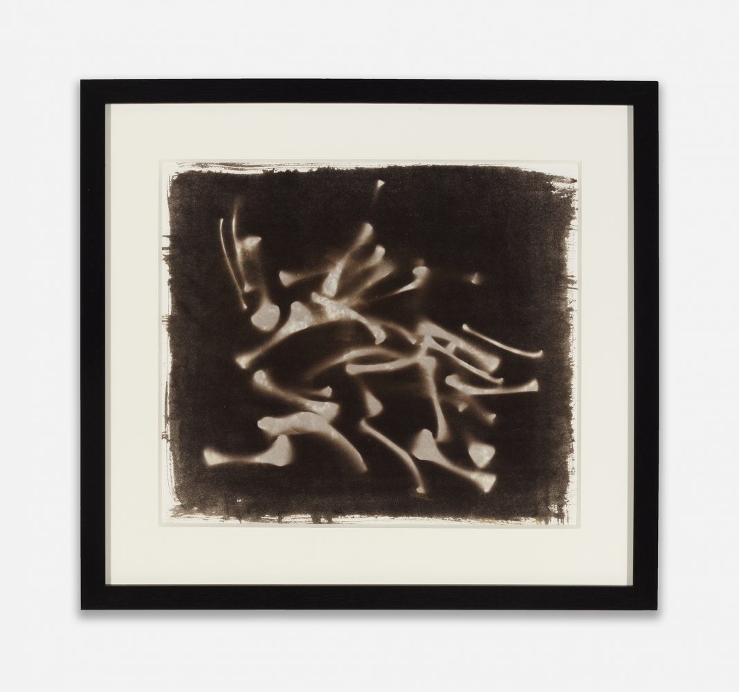 Untitled (Chicken Bones),&amp;nbsp;1999
Van Dyke Brown print
Image: 13 &amp;times; 13 3/8 inches (33 &amp;times; 34 cm)
Framed: 16 &amp;times; 17 1/2 &amp;times; 1 5/8 inches (40.6 &amp;times; 44.5 &amp;times; 4.1 cm)
Unique