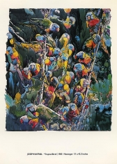 Tropical Birds, 1985