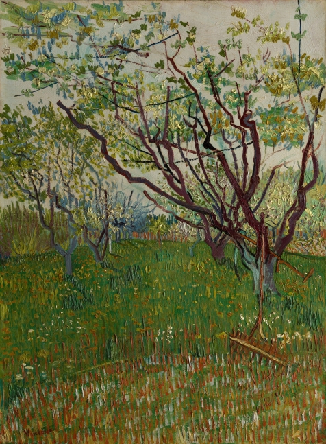 Vincent van Gogh, The Flowering Orchard, 1888. Metropolitan Museum of Art.