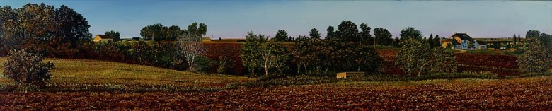 Illinois Landscape #133, 1994