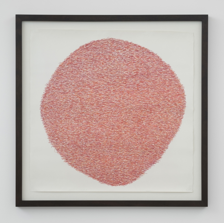 Under:Conscious: Drawing VI, 2014, Colored pencil on paper