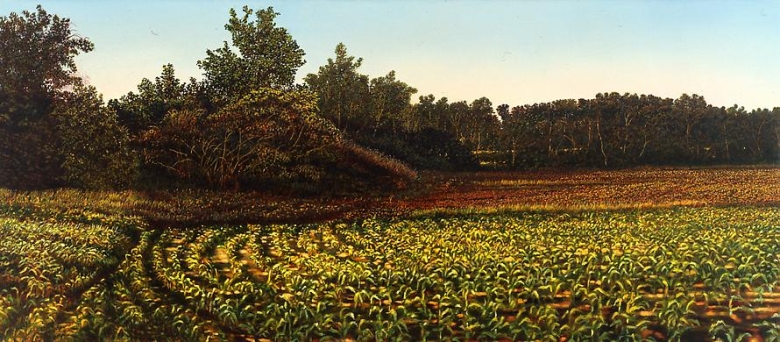Illinois Landscape #126, 1993
