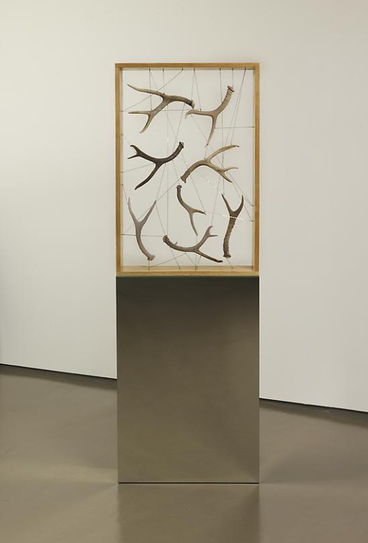 Untitled (Antler Box), 2006
